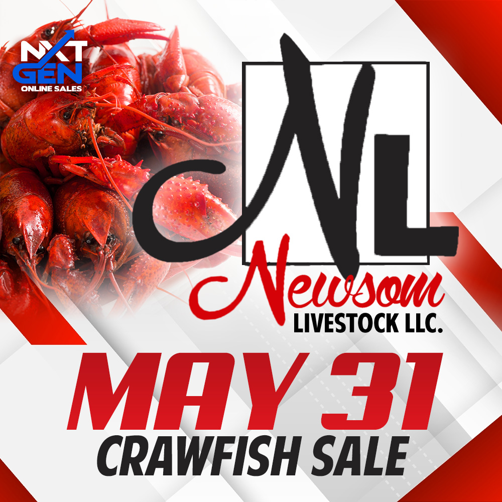 The Red Raider Sheep & Goat Sale